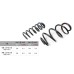 TUON DYNAMIC COIL SPRING KIA SORENTO 2WD 4WD 2017-20